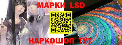 стаф Краснодар