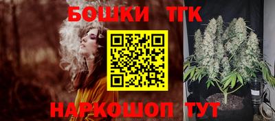 стаф Краснодар
