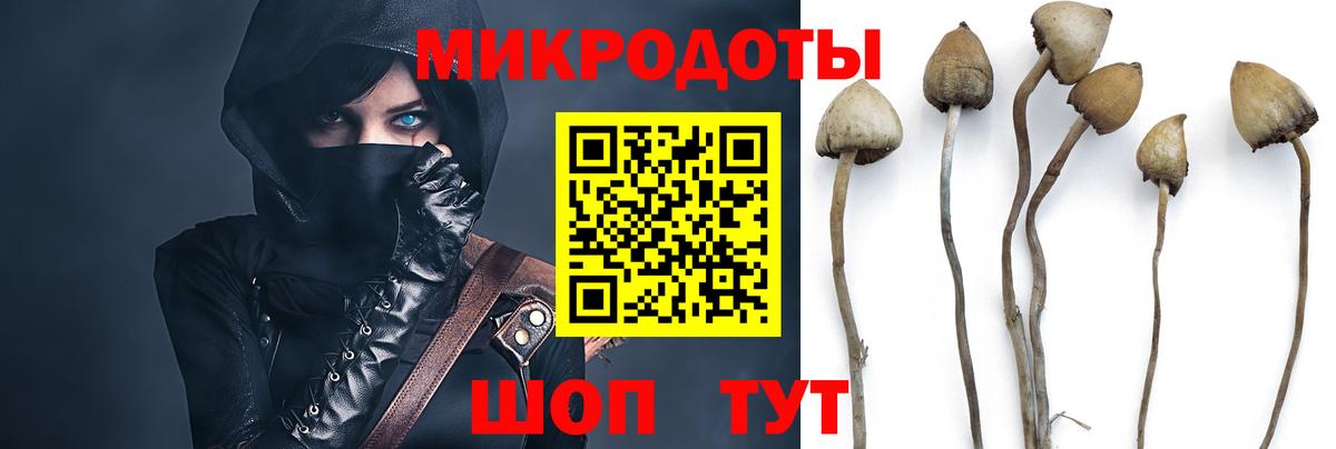 как найти закладки  Галлюциногенные грибы MAGIC MUSHROOMS  Серов  Вход с VPN  Галлюциногенные грибы прущие грибы 